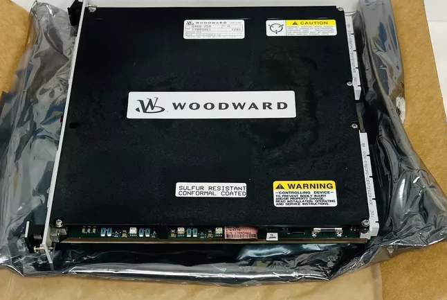 5466-258 Woodward 伍德沃德  独立 I/O 模块 原厂进口	现货充足 顺丰秒发图2