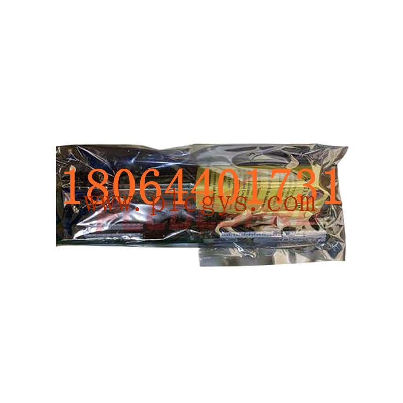 GE DS200PTBAG1BBA CPU 模块 进口原装全新 大量供应库存出售 优势议价图1