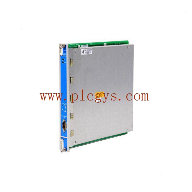 BENTLY NEVADA 288055-01 瞬态数据接口模块 密封 现货