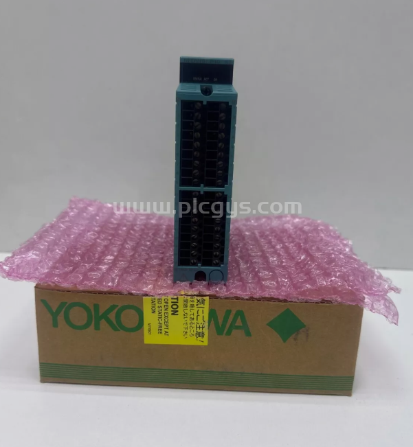 NFTB5S-00 数值输入模块 YOKOGAWA  全新包邮 可议价 原厂直采 现货足