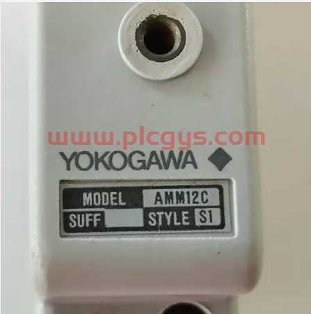 AMM12C  YOKOGAWA 横河 电压输入模块 进口原装全新 大量供应库存出售 优势议价图1