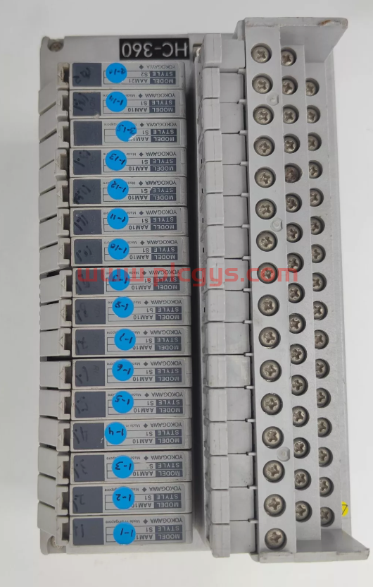 AAM50 YOKOGAWA 横河 模拟模块 100%新 原装原盒密封 进口现货库存 当天可发 