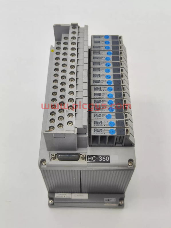 AAM50 YOKOGAWA 横河 模拟模块 100%新 原装原盒密封 进口现货库存 当天可发 图1