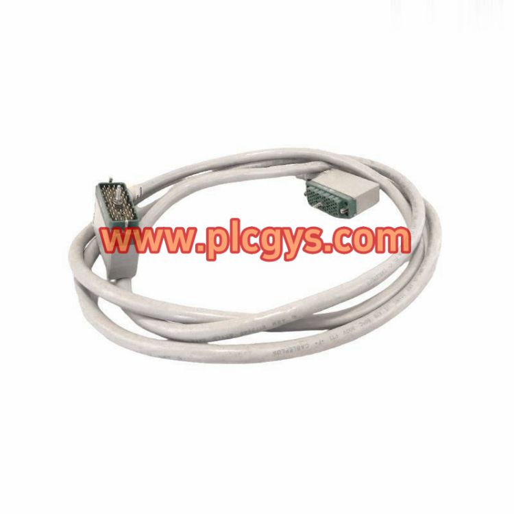 Triconex 4000093 310输入端子电缆组件