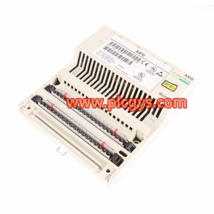 施耐德170BAM09600模拟量输入输出模块