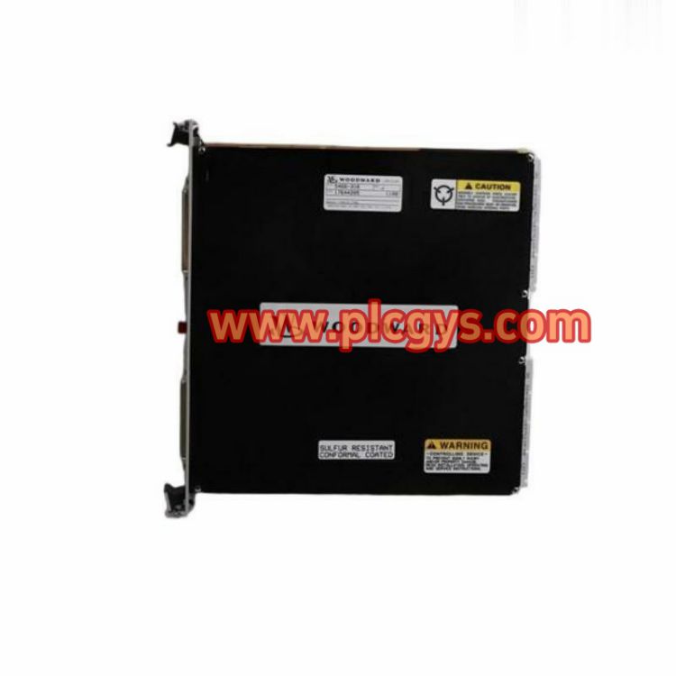 伍德沃德5466 316模拟组合模块